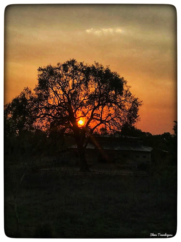 An image of Aranyak Resort, Bandhavgarh