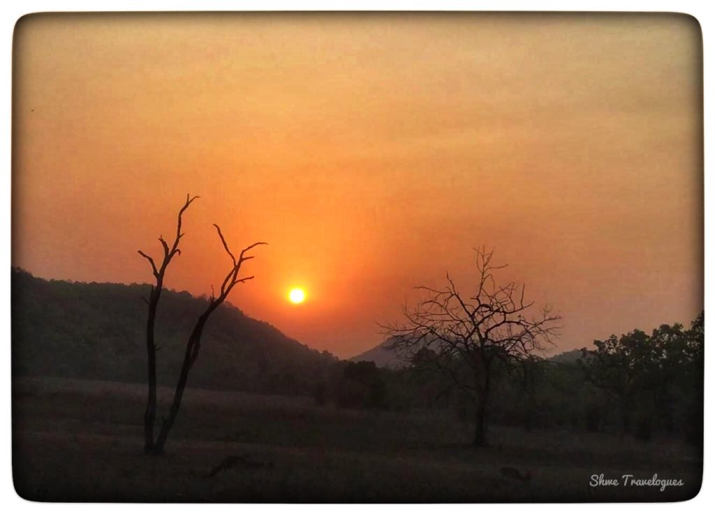 An image of sunrise in Bandhavgarh National Park