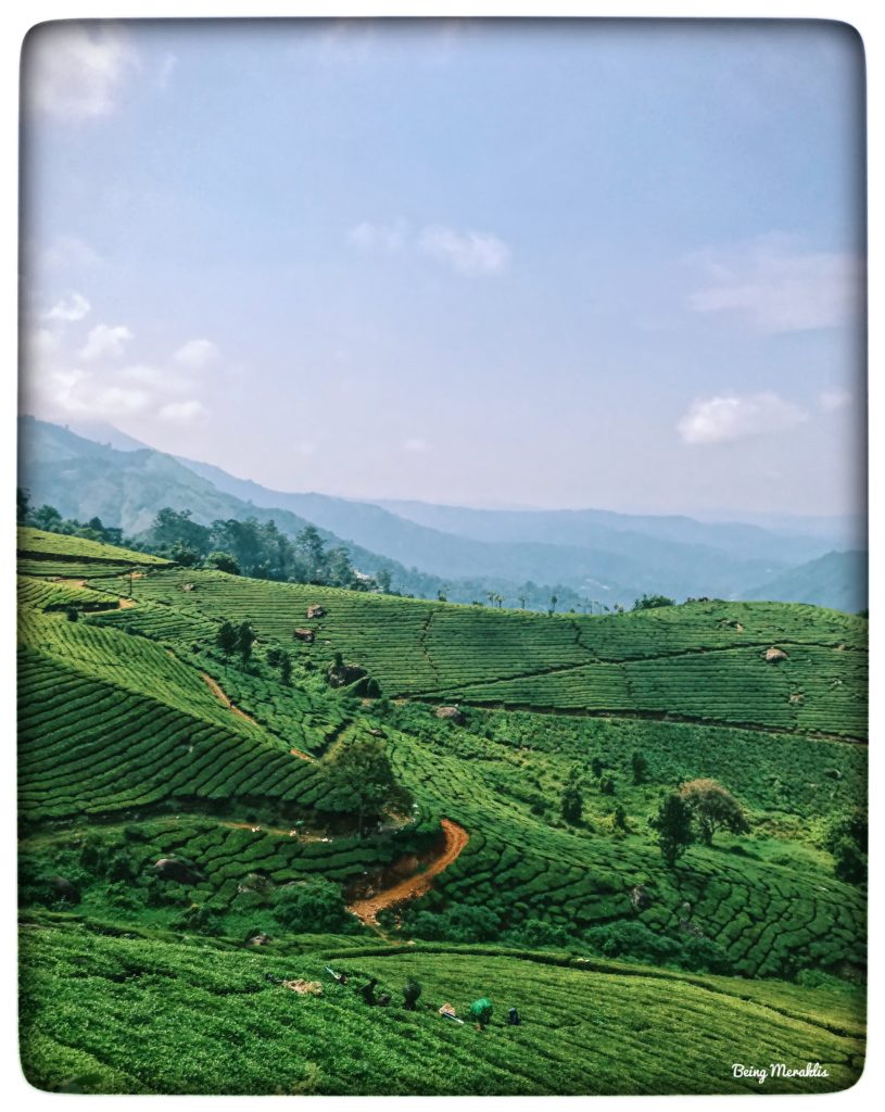 Long Weekend Trips: Traveling to Kerala - Being Meraklis